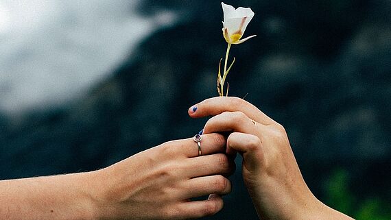 Frauenhand überreicht anderer Frau eine Blume